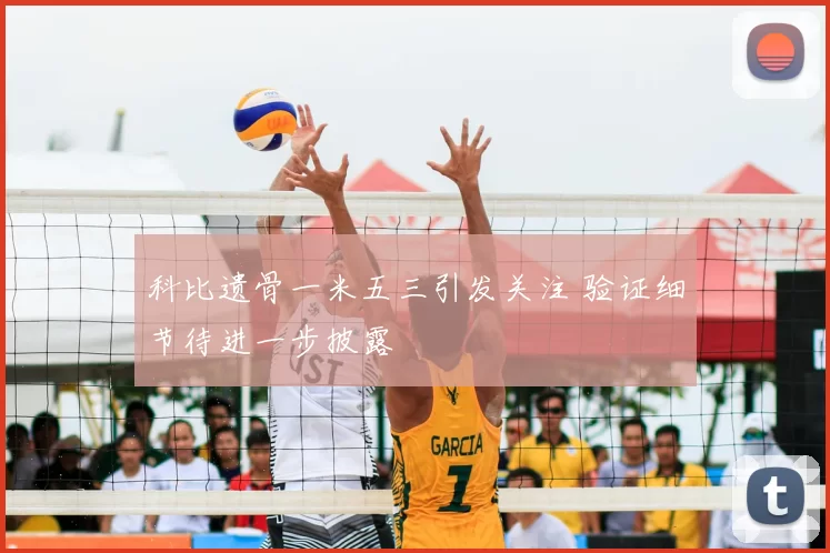 科比遗骨一米五三引发关注 验证细节待进一步披露