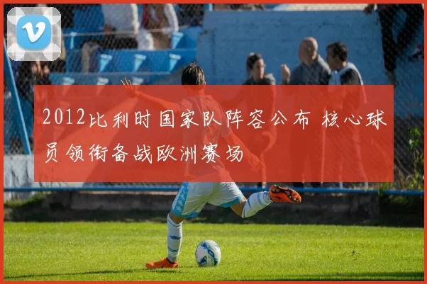 2012比利时国家队阵容公布 核心球员领衔备战欧洲赛场