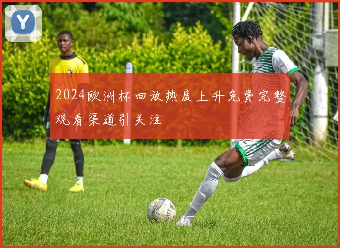 2024欧洲杯回放热度上升免费完整观看渠道引关注