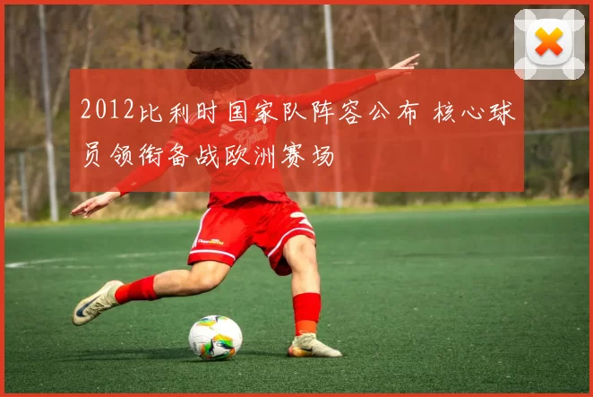 2012比利时国家队阵容公布 核心球员领衔备战欧洲赛场