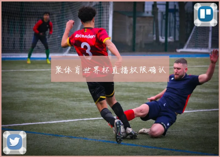 聚体育世界杯直播权限确认