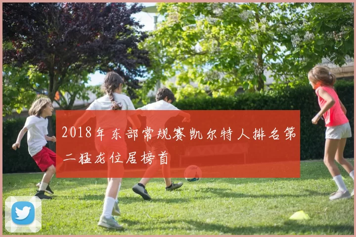 2018年东部常规赛凯尔特人排名第二猛龙位居榜首
