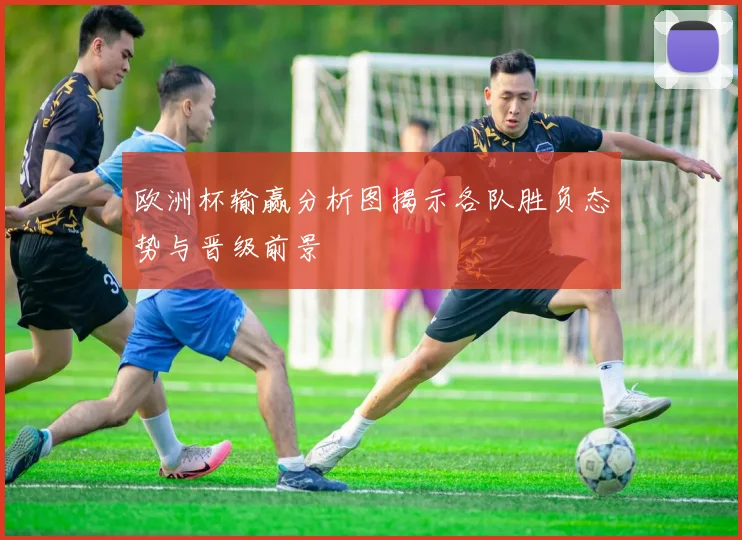 欧洲杯输赢分析图揭示各队胜负态势与晋级前景